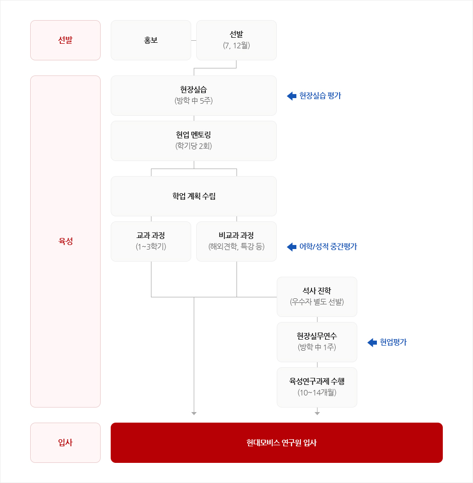 현대모비스 모빌리티 SW채용연계 트랙 프로세스 도표. 선발 · 육성 · 입사 세 단계로 이뤄지며, 홍보와 선발(7·12월)을 지나 현장실습과 현업 멘토링, 교과 · 비교과 과정을 거치고 단계마다 평가를 받은 뒤 현대모비스 연구원 입사로 마무리된다.